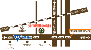 習志野市 津田沼動物病院の地図