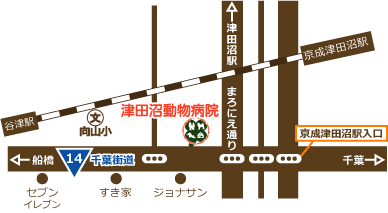 習志野市 津田沼動物病院の地図